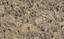 717-Naturals: Granites-Quartzites-Stones